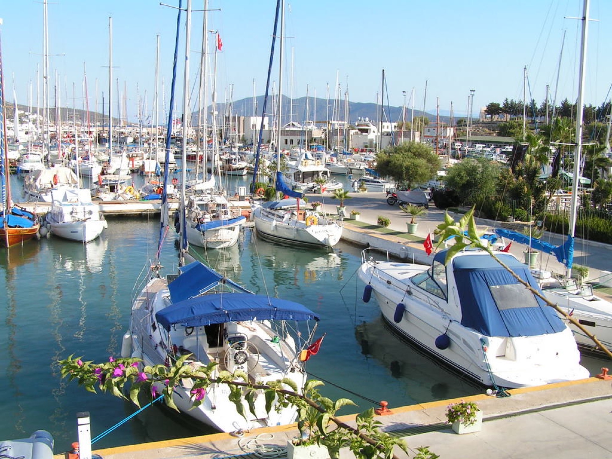 Boats moored in a quiet bay